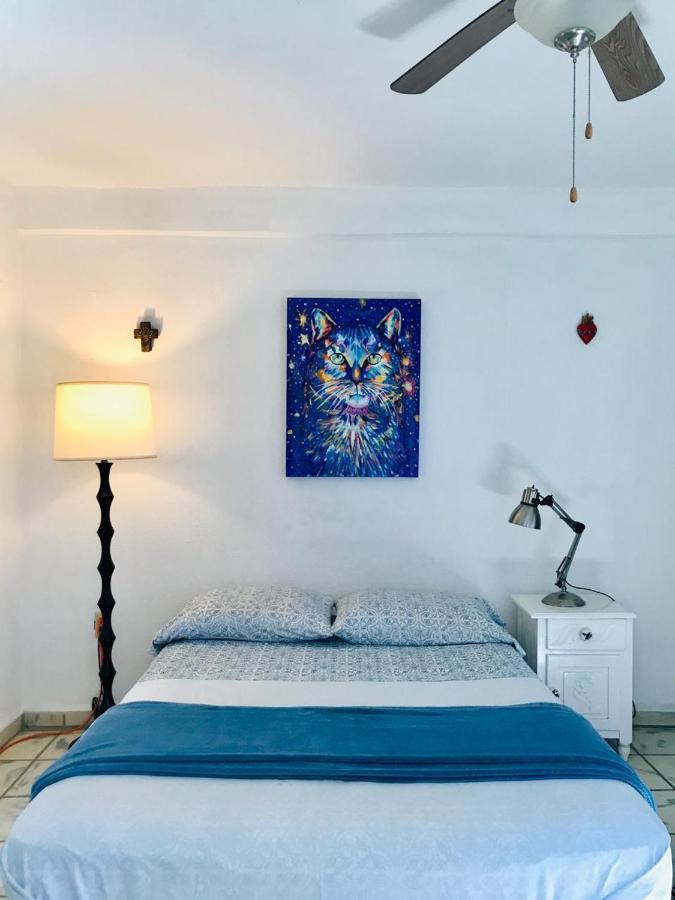 Hotel Posada Senor Manana Сан-Хосе-дель-Кабо Экстерьер фото